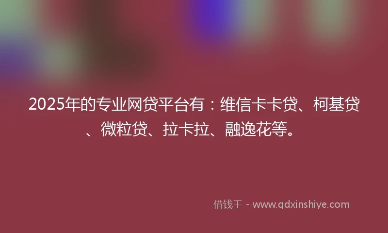2025年的专业网贷平台有：维信卡卡贷、柯基贷、微粒贷、拉卡拉、融逸花等。