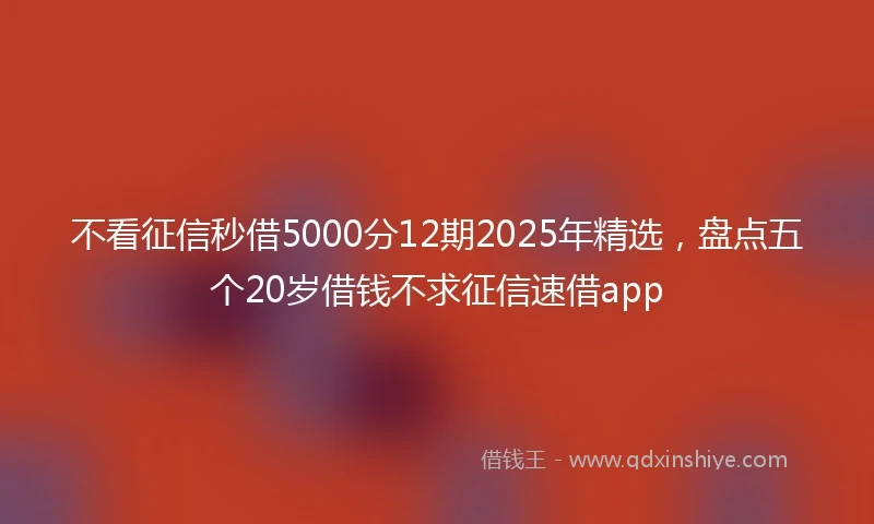 不看征信秒借5000分12期2025年精选，盘点五个20岁借钱不求征信速借app