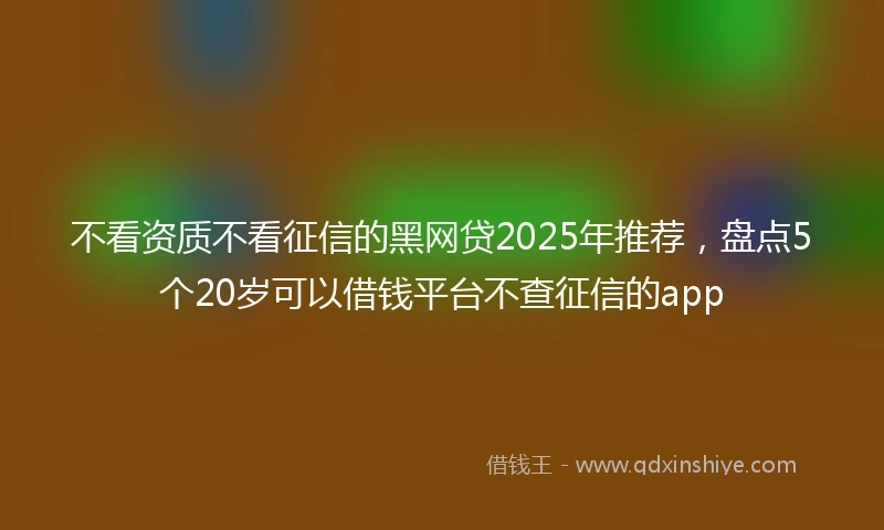 不看资质不看征信的黑网贷2025年推荐，盘点5个20岁可以借钱平台不查征信的app