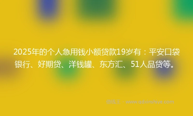 2025年的个人急用钱小额贷款19岁有：平安口袋银行、好期贷、洋钱罐、东方汇、51人品贷等。