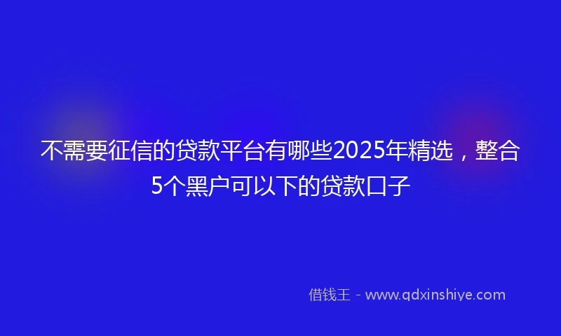 不需要征信的贷款平台有哪些2025年精选，整合5个黑户可以下的贷款口子