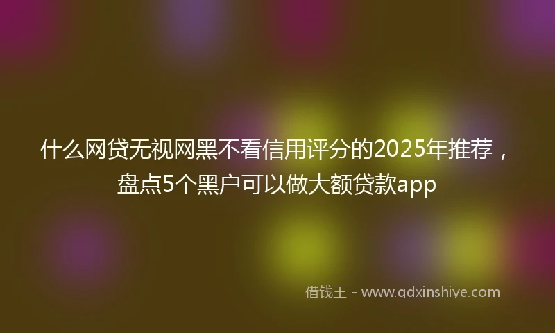 什么网贷无视网黑不看信用评分的2025年推荐，盘点5个黑户可以做大额贷款app