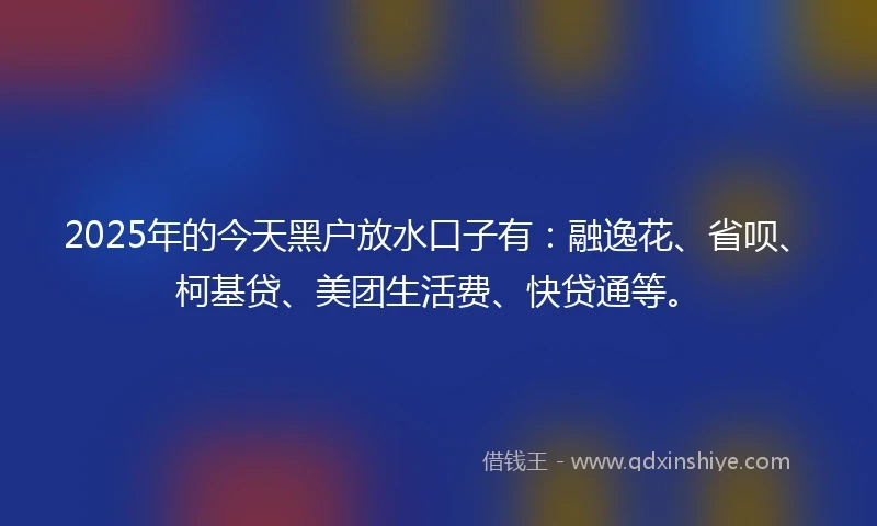 2025年的今天黑户放水口子有：融逸花、省呗、柯基贷、美团生活费、快贷通等。