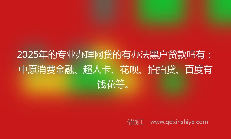 2025年的专业办理网贷的有办法黑户贷款吗有：中原消费金融、超人卡、花呗、拍拍贷、百度有钱花等。