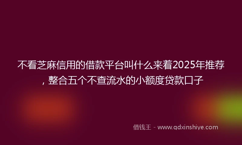 不看芝麻信用的借款平台叫什么来着2025年推荐，整合五个不查流水的小额度贷款口子