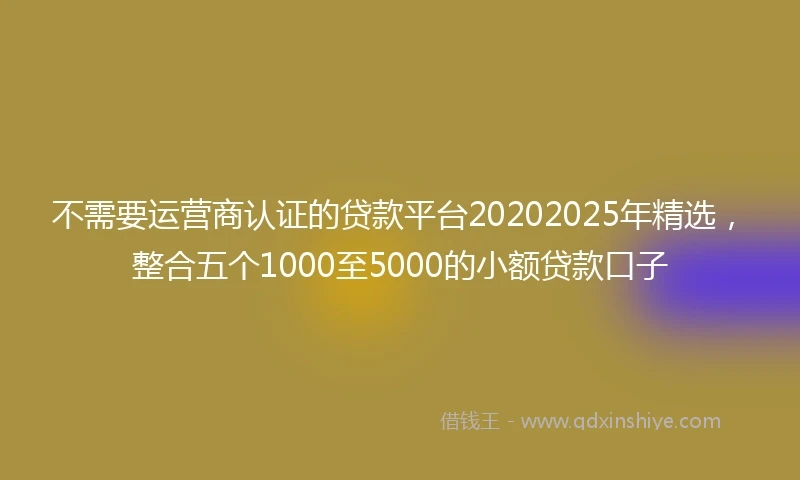 不需要运营商认证的贷款平台20202025年精选，整合五个1000至5000的小额贷款口子