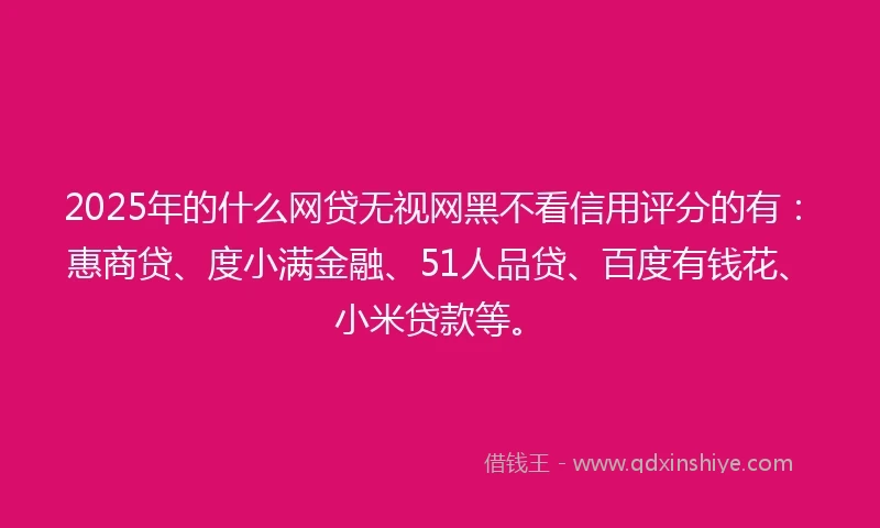 2025年的什么网贷无视网黑不看信用评分的有：惠商贷、度小满金融、51人品贷、百度有钱花、小米贷款等。