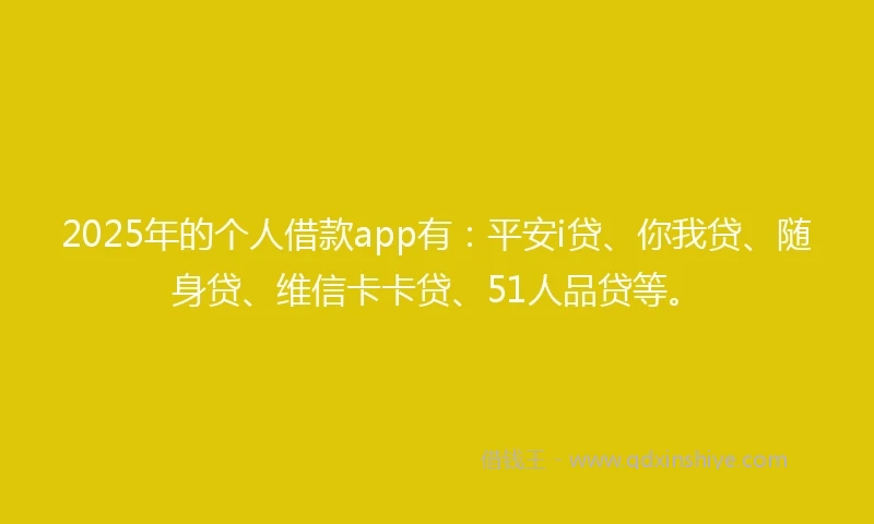 2025年的个人借款app有：平安i贷、你我贷、随身贷、维信卡卡贷、51人品贷等。