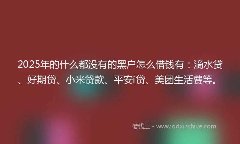 2025年的什么都没有的黑户怎么借钱有：滴水贷、好期贷、小米贷款、平安i贷、美团生活费等。