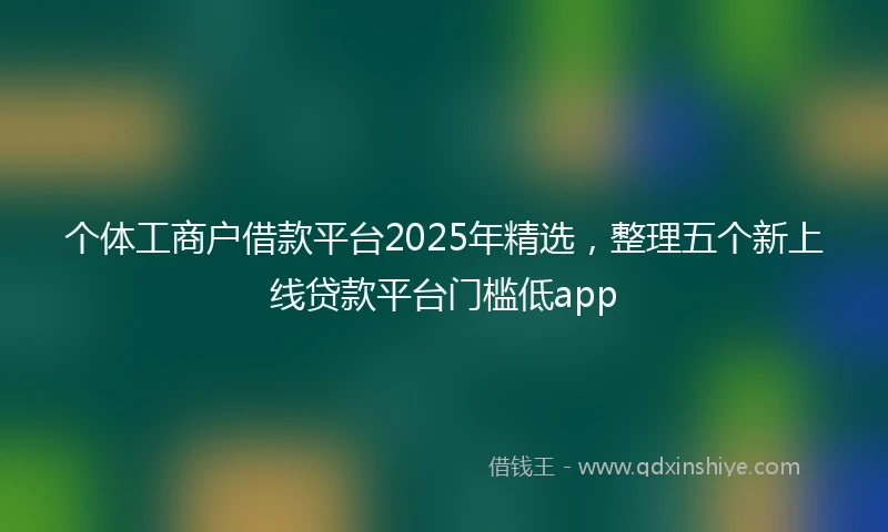 个体工商户借款平台2025年精选，整理五个新上线贷款平台门槛低app