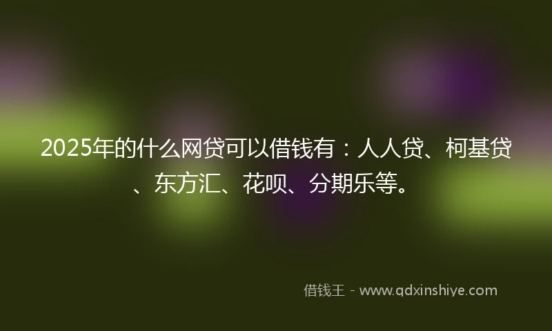 2025年的什么网贷可以借钱有：人人贷、柯基贷、东方汇、花呗、分期乐等。