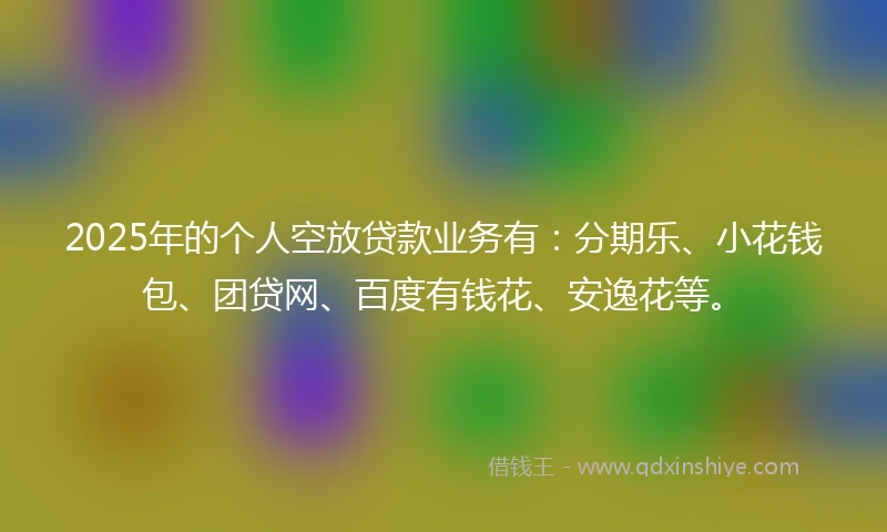 2025年的个人空放贷款业务有：分期乐、小花钱包、团贷网、百度有钱花、安逸花等。