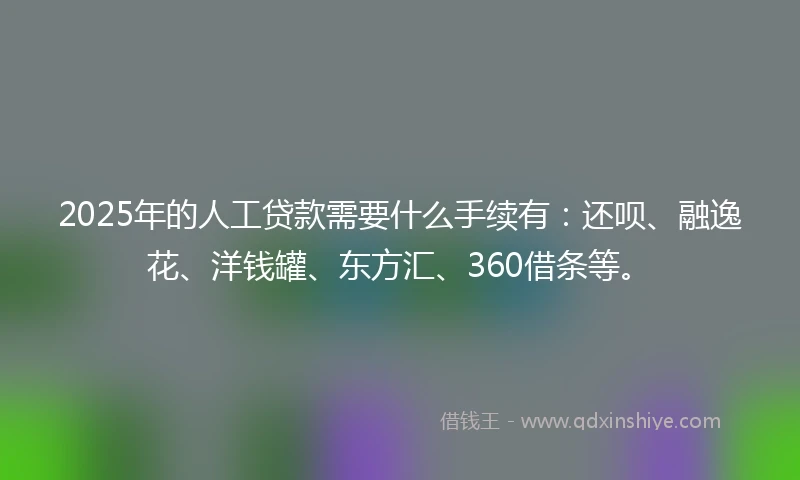 2025年的人工贷款需要什么手续有：还呗、融逸花、洋钱罐、东方汇、360借条等。