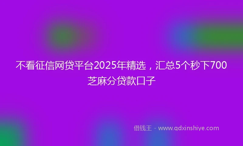 不看征信网贷平台2025年精选,汇总5个秒下700芝麻分贷款口子