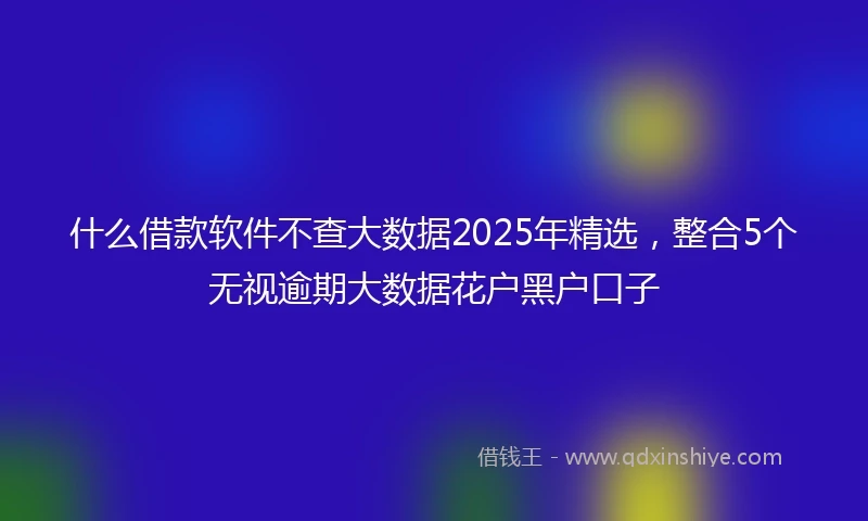 什么借款软件不查大数据2025年精选，整合5个无视逾期大数据花户黑户口子