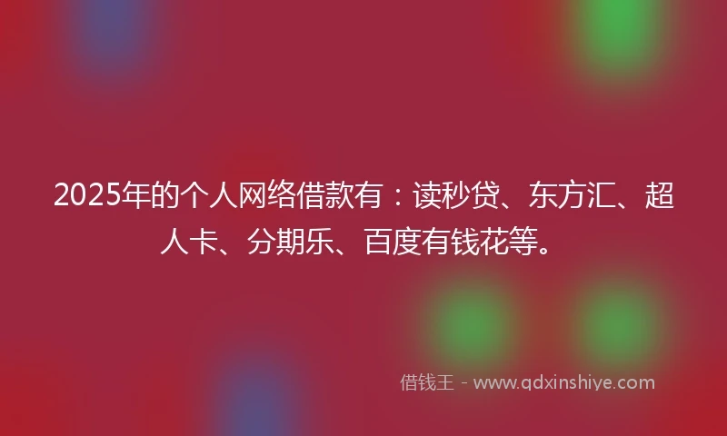 2025年的个人网络借款有：读秒贷、东方汇、超人卡、分期乐、百度有钱花等。