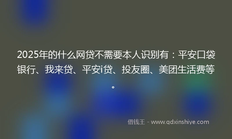 2025年的什么网贷不需要本人识别有：平安口袋银行、我来贷、平安i贷、投友圈、美团生活费等。