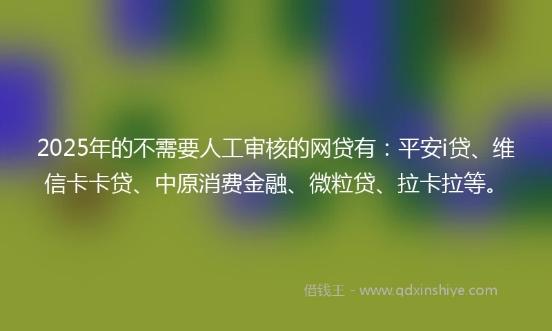 2025年的不需要人工审核的网贷有：平安i贷、维信卡卡贷、中原消费金融、微粒贷、拉卡拉等。