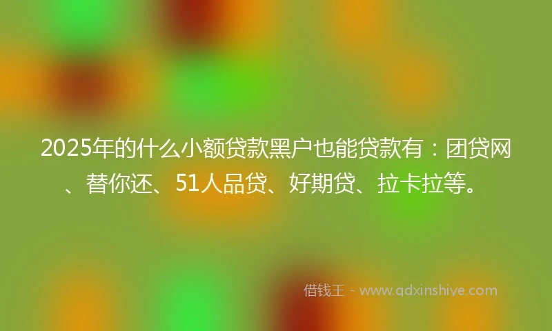 2025年的什么小额贷款黑户也能贷款有：团贷网、替你还、51人品贷、好期贷、拉卡拉等。