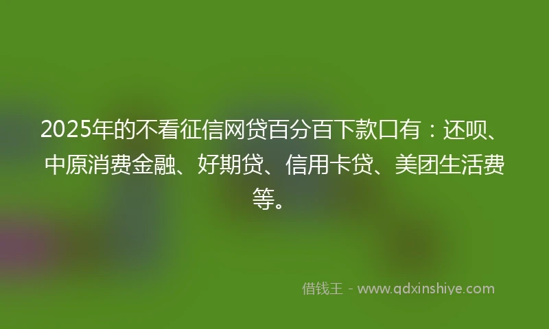 2025年的不看征信网贷百分百下款口有：还呗、中原消费金融、好期贷、信用卡贷、美团生活费等。