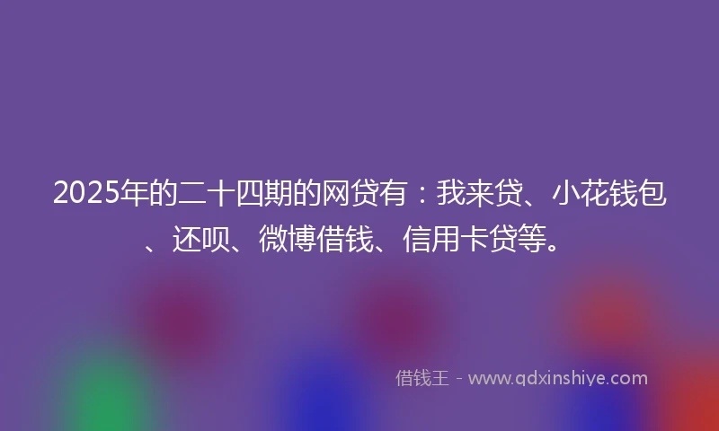 2025年的二十四期的网贷有：我来贷、小花钱包、还呗、微博借钱、信用卡贷等。