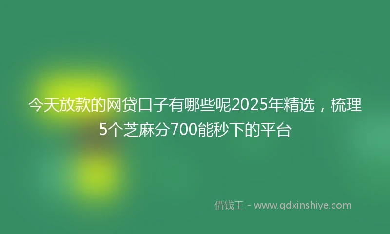 今天放款的网贷口子有哪些呢2025年精选，梳理5个芝麻分700能秒下的平台