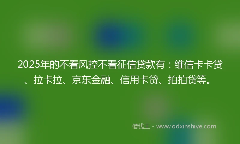 2025年的不看风控不看征信贷款有：维信卡卡贷、拉卡拉、京东金融、信用卡贷、拍拍贷等。