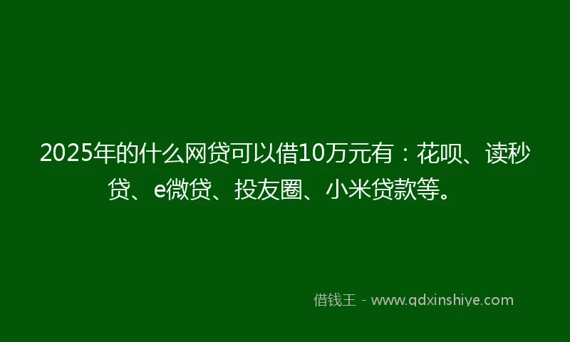 2025年的什么网贷可以借10万元有：花呗、读秒贷、e微贷、投友圈、小米贷款等。