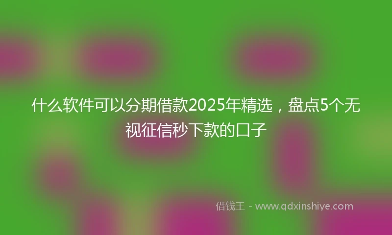 什么软件可以分期借款2025年精选，盘点5个无视征信秒下款的口子