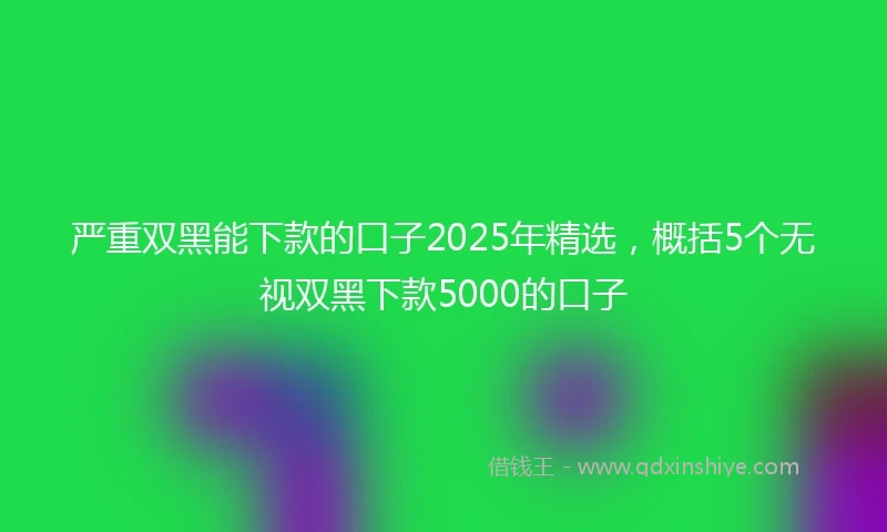 严重双黑能下款的口子2025年精选，概括5个无视双黑下款5000的口子