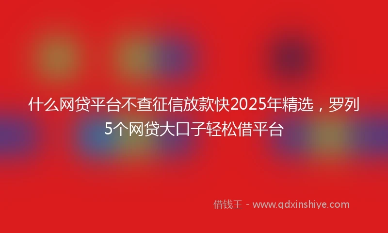什么网贷平台不查征信放款快2025年精选，罗列5个网贷大口子轻松借平台