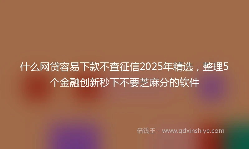 什么网贷容易下款不查征信2025年精选，整理5个金融创新秒下不要芝麻分的软件