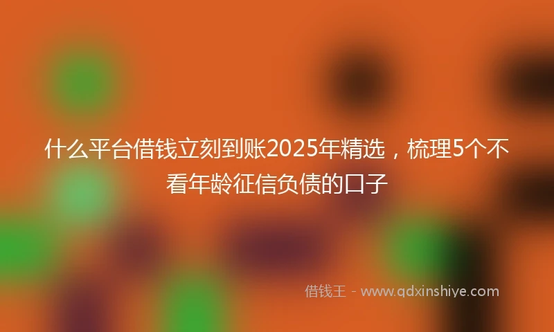 什么平台借钱立刻到账2025年精选，梳理5个不看年龄征信负债的口子