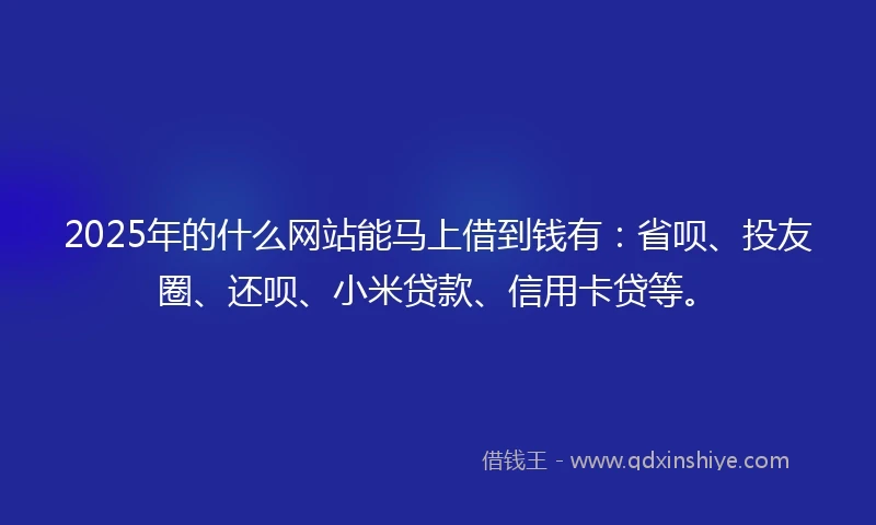 2025年的什么网站能马上借到钱有：省呗、投友圈、还呗、小米贷款、信用卡贷等。