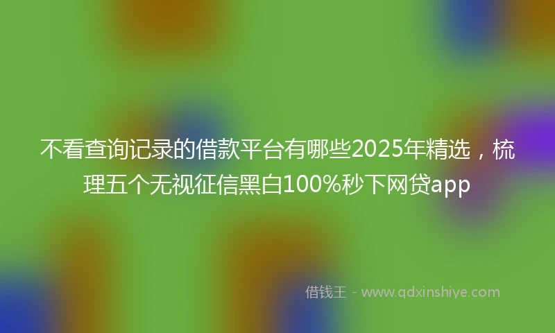 不看查询记录的借款平台有哪些2025年精选，梳理五个无视征信黑白100%秒下网贷app