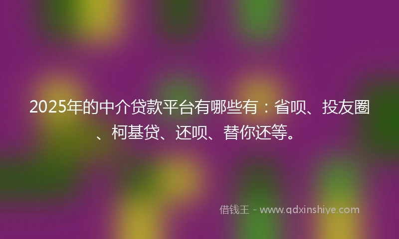 2025年的中介贷款平台有哪些有：省呗、投友圈、柯基贷、还呗、替你还等。