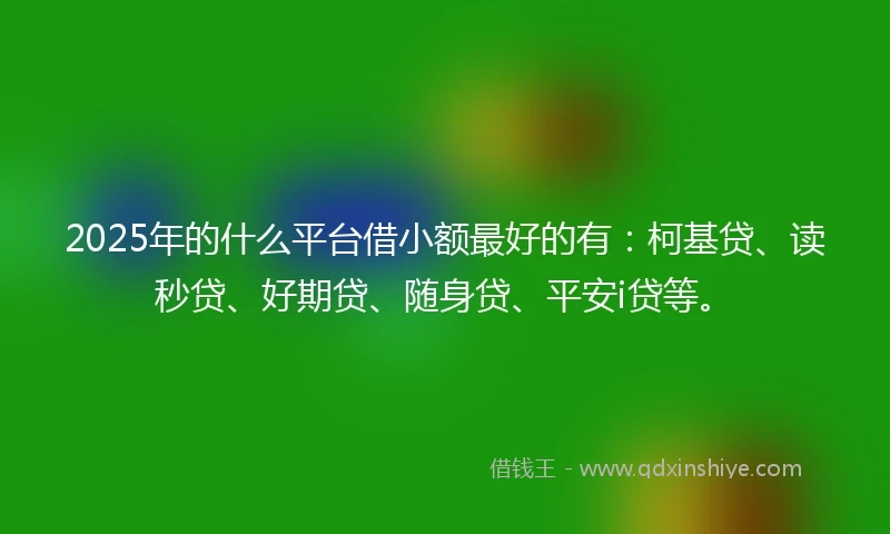 2025年的什么平台借小额最好的有：柯基贷、读秒贷、好期贷、随身贷、平安i贷等。