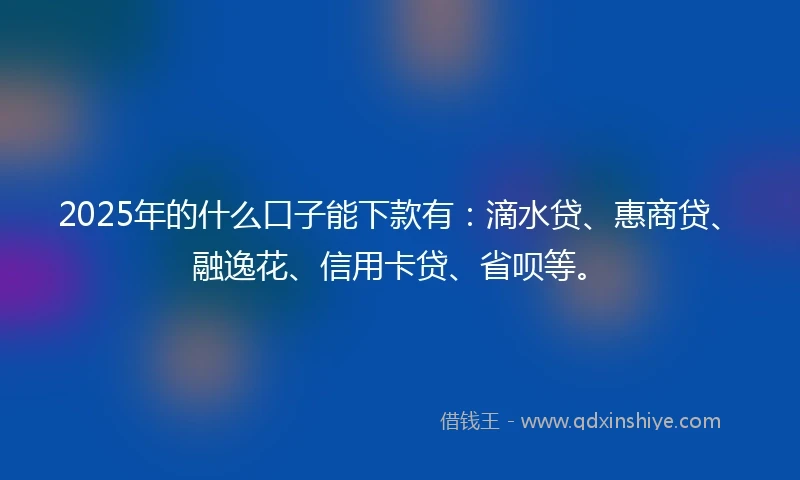 2025年的什么口子能下款有：滴水贷、惠商贷、融逸花、信用卡贷、省呗等。