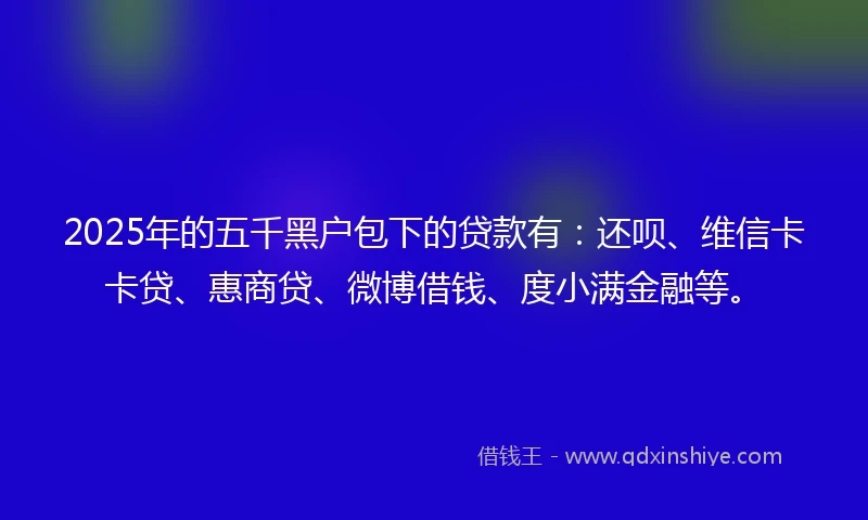 2025年的五千黑户包下的贷款有：还呗、维信卡卡贷、惠商贷、微博借钱、度小满金融等。