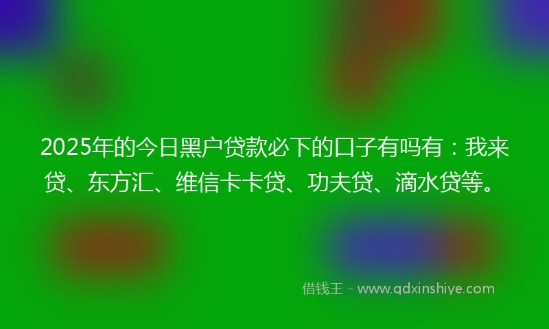 2025年的今日黑户贷款必下的口子有吗有：我来贷、东方汇、维信卡卡贷、功夫贷、滴水贷等。
