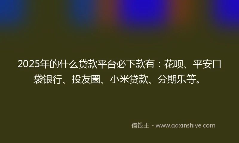 2025年的什么贷款平台必下款有：花呗、平安口袋银行、投友圈、小米贷款、分期乐等。