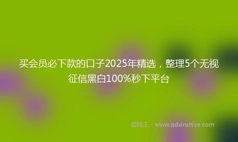 买会员必下款的口子2025年精选，整理5个无视征信黑白100%秒下平台