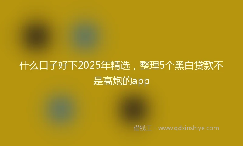 什么口子好下2025年精选，整理5个黑白贷款不是高炮的app