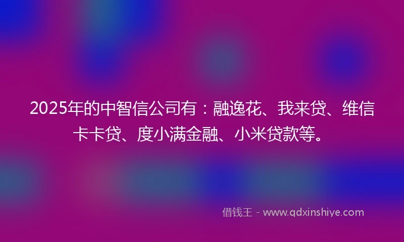 2025年的中智信公司有：融逸花、我来贷、维信卡卡贷、度小满金融、小米贷款等。