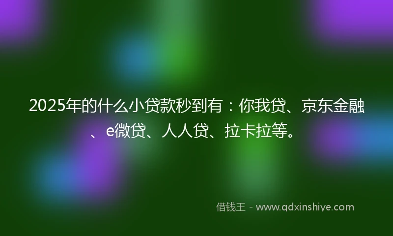2025年的什么小贷款秒到有：你我贷、京东金融、e微贷、人人贷、拉卡拉等。