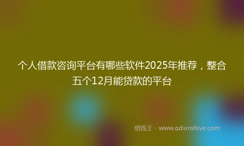 个人借款咨询平台有哪些软件2025年推荐，整合五个12月能贷款的平台