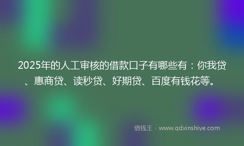 2025年的人工审核的借款口子有哪些有：你我贷、惠商贷、读秒贷、好期贷、百度有钱花等。