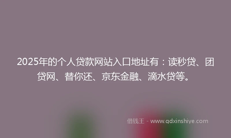 2025年的个人贷款网站入口地址有：读秒贷、团贷网、替你还、京东金融、滴水贷等。