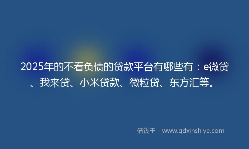 2025年的不看负债的贷款平台有哪些有：e微贷、我来贷、小米贷款、微粒贷、东方汇等。