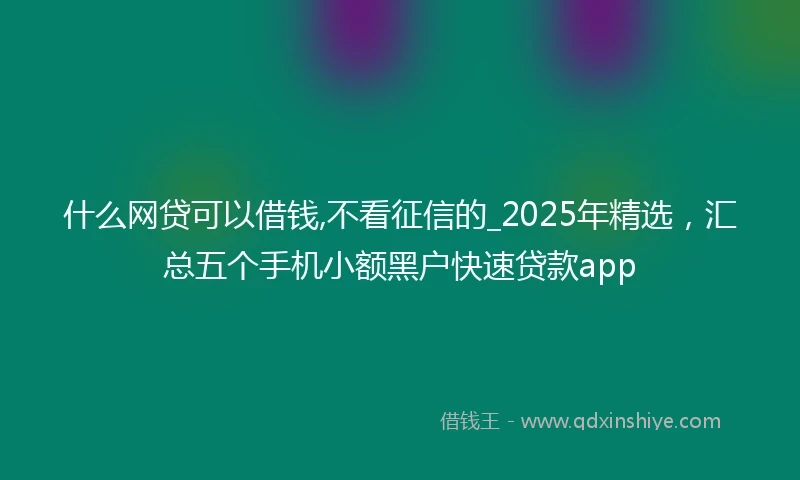 什么网贷可以借钱,不看征信的_2025年精选，汇总五个手机小额黑户快速贷款app